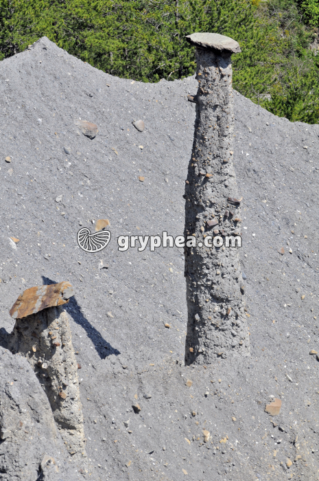 Cheminée des fées (Theus) - gryphea.org